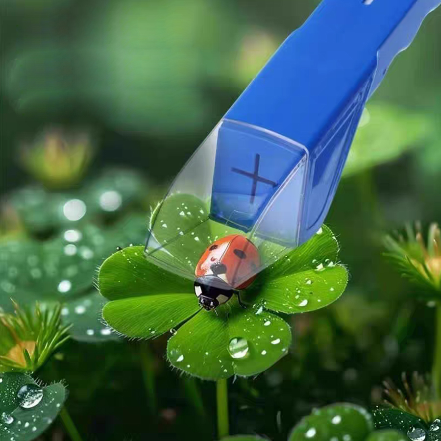 Kids Insect Catcher Box Magnif - Kids Outdoor Nature Toys ulasan dan harga